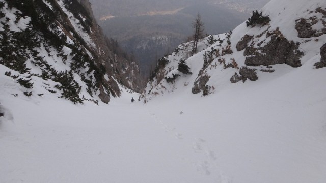 V Galbinele sec_iarna_14032015_blog 043