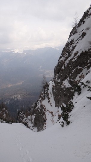 V Galbinele sec_iarna_14032015_blog 049