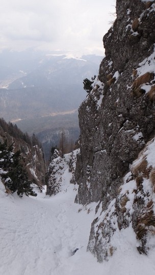 V Galbinele sec_iarna_14032015_blog 052