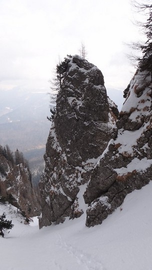 V Galbinele sec_iarna_14032015_blog 058