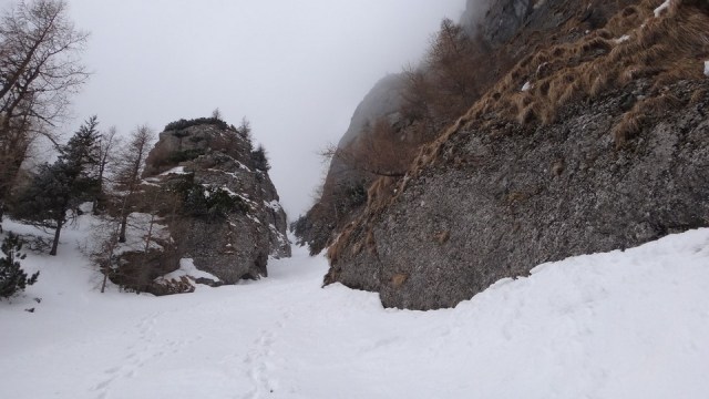 V Galbinele sec_iarna_14032015_blog 065