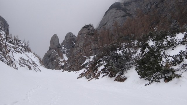 V Galbinele sec_iarna_14032015_blog 071