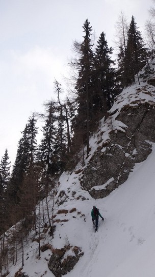 V Galbinele sec_iarna_14032015_blog 073