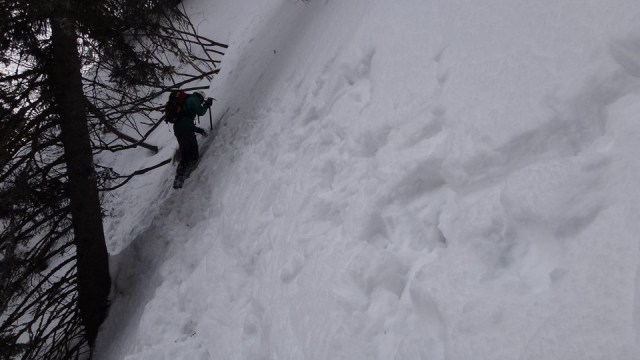 V Galbinele sec_iarna_14032015_blog 074