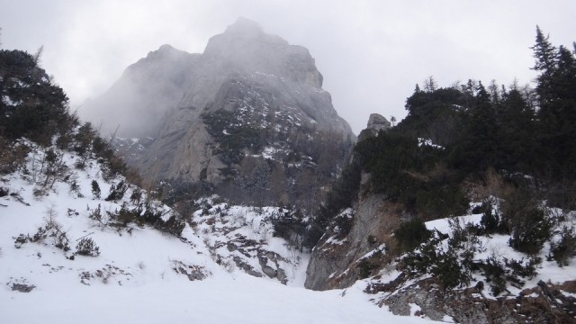 V Galbinele sec_iarna_14032015_blog 084