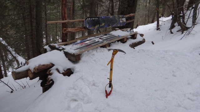 V Galbinele sec_iarna_14032015_blog 094