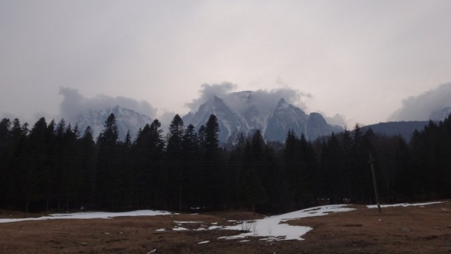 V Galbinele sec_iarna_14032015_blog 098