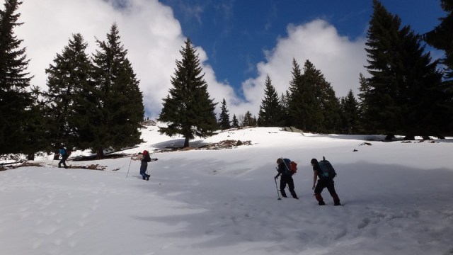 Vf Lespezi_Caltun_28022015_blog 003