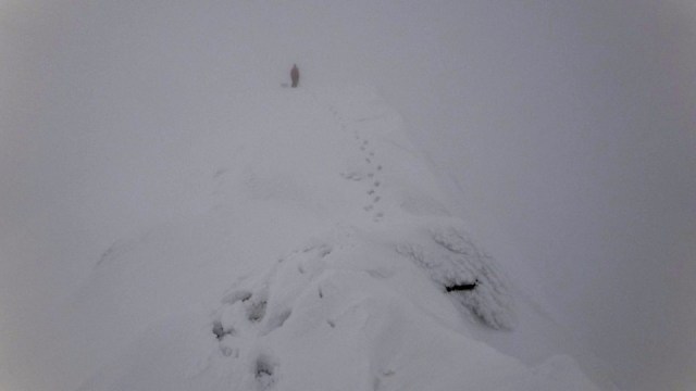 Vf Lespezi_Caltun_28022015_blog 089