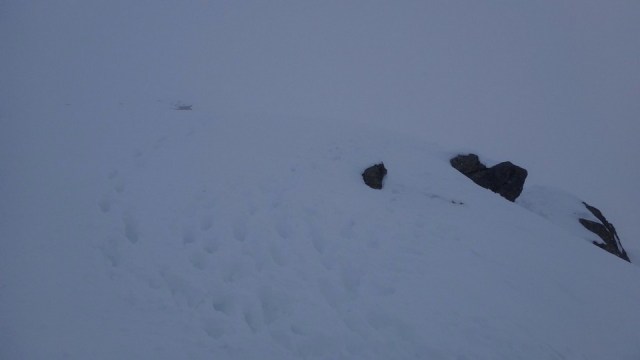 Vf Lespezi_Caltun_28022015_blog 104