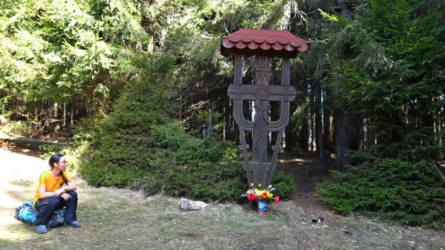 Albisoara Strungii_zapada_12042015_blog 004