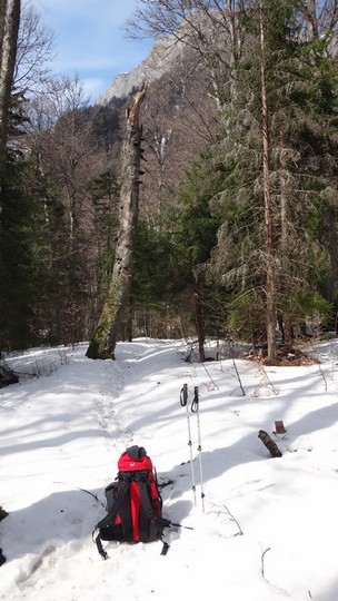 Albisoara Strungii_zapada_12042015_blog 006