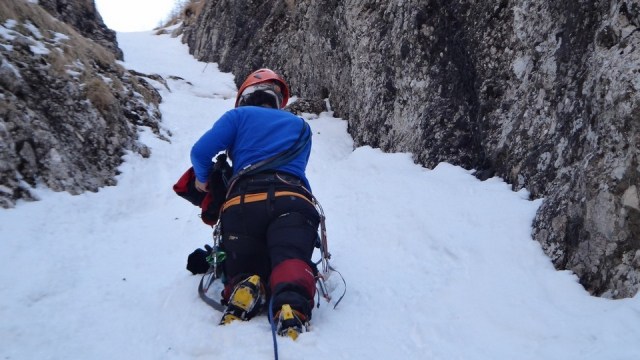 Albisoara Strungii_zapada_12042015_blog 047