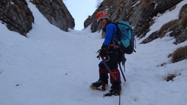 Albisoara Strungii_zapada_12042015_blog 052