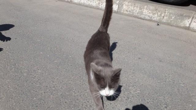 prin Busteni_11042015_blog 024