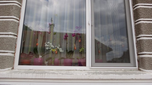 prin Rasnov_13042015_blog 013