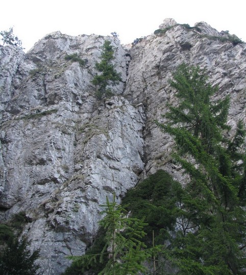 1MaiMignonIncepator_25042011_blog_002