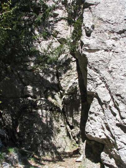 1MaiMignonIncepator_25042011_blog_012