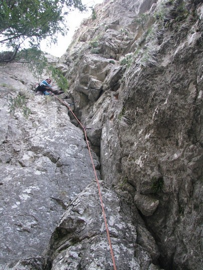 1MaiMignonIncepator_25042011_blog_023