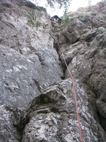 1MaiMignonIncepator_25042011_blog_024