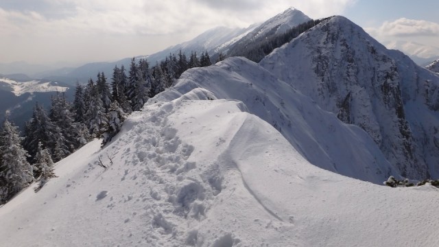 afis Schiller 18 decembrie 2015 _blog 2