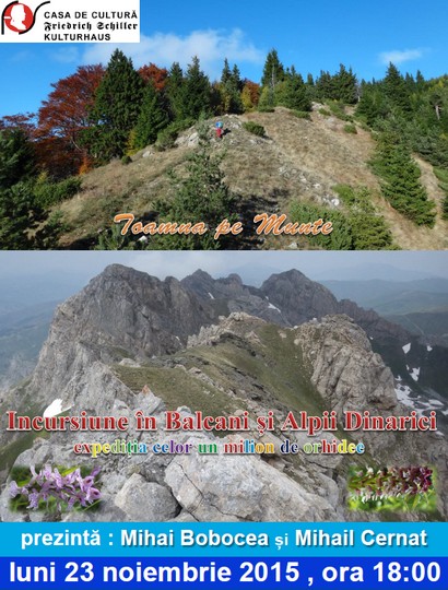 afis Schiller 23 noiembrie 2015 _blog