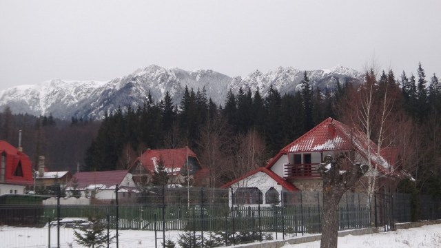 Cr Zaganu_Gropsoarele_09012016_blog_003