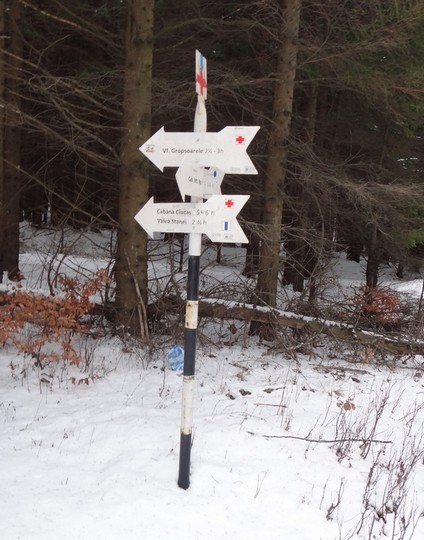 Cr Zaganu_Gropsoarele_09012016_blog_005