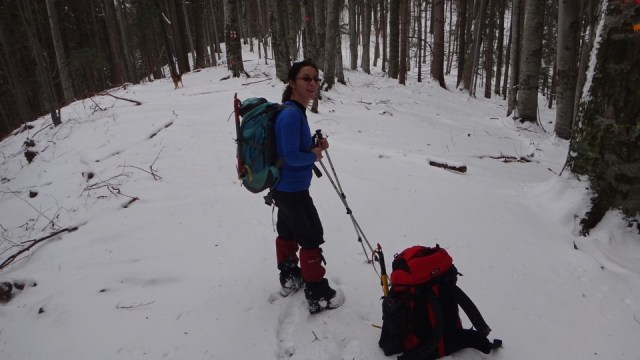 Cr Zaganu_Gropsoarele_09012016_blog_006