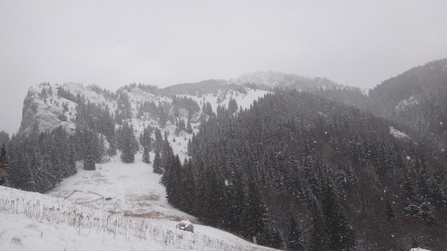 Cr Zaganu_Gropsoarele_09012016_blog_009