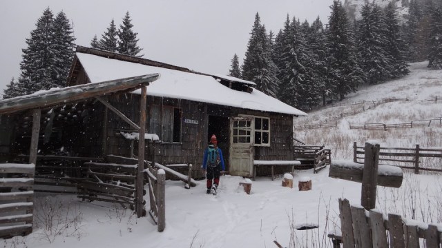 Cr Zaganu_Gropsoarele_09012016_blog_011