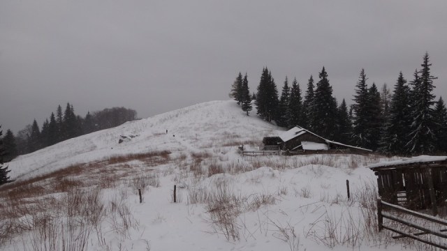 Cr Zaganu_Gropsoarele_09012016_blog_012