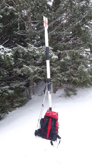 Cr Zaganu_Gropsoarele_09012016_blog_014