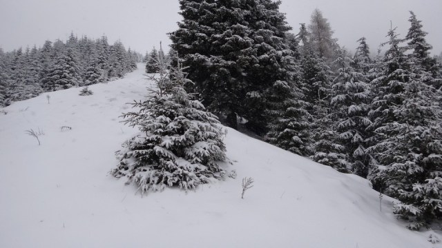 Cr Zaganu_Gropsoarele_09012016_blog_016