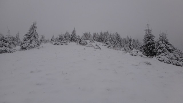 Cr Zaganu_Gropsoarele_09012016_blog_020