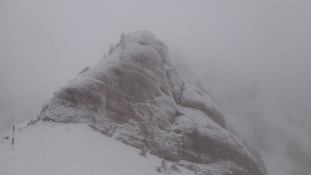 Cr Zaganu_Gropsoarele_09012016_blog_021