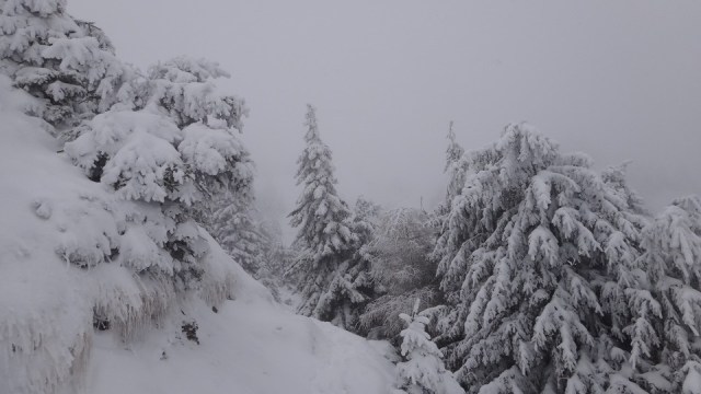 Cr Zaganu_Gropsoarele_09012016_blog_026