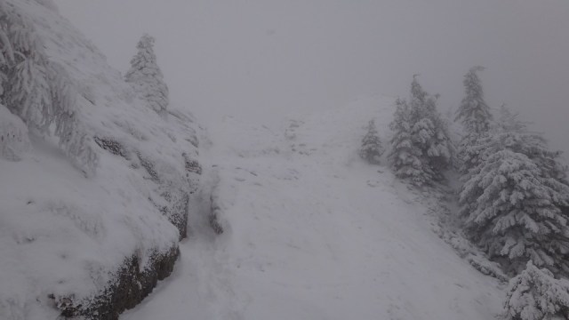 Cr Zaganu_Gropsoarele_09012016_blog_028