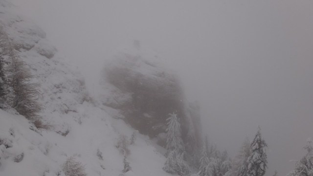 Cr Zaganu_Gropsoarele_09012016_blog_029