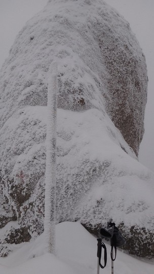 Cr Zaganu_Gropsoarele_09012016_blog_033