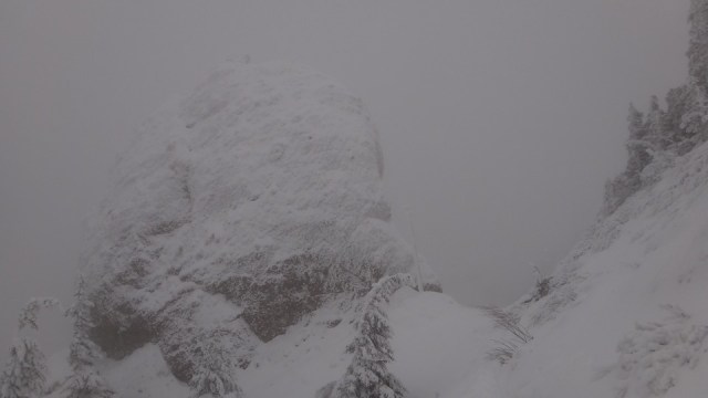 Cr Zaganu_Gropsoarele_09012016_blog_034