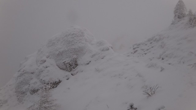 Cr Zaganu_Gropsoarele_09012016_blog_038