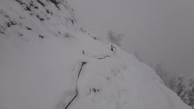 Cr Zaganu_Gropsoarele_09012016_blog_039