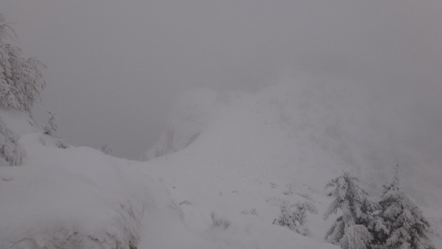 Cr Zaganu_Gropsoarele_09012016_blog_040