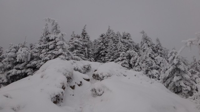 Cr Zaganu_Gropsoarele_09012016_blog_044