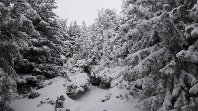 Cr Zaganu_Gropsoarele_09012016_blog_046