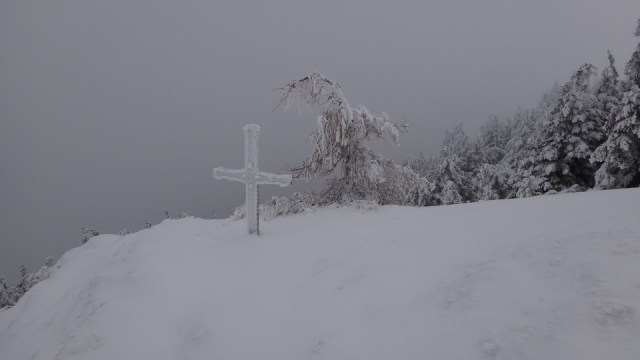 Cr Zaganu_Gropsoarele_09012016_blog_049