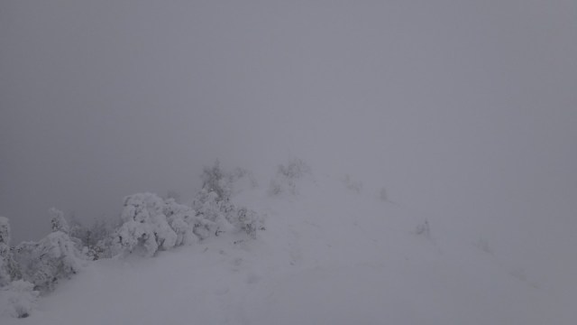 Cr Zaganu_Gropsoarele_09012016_blog_051