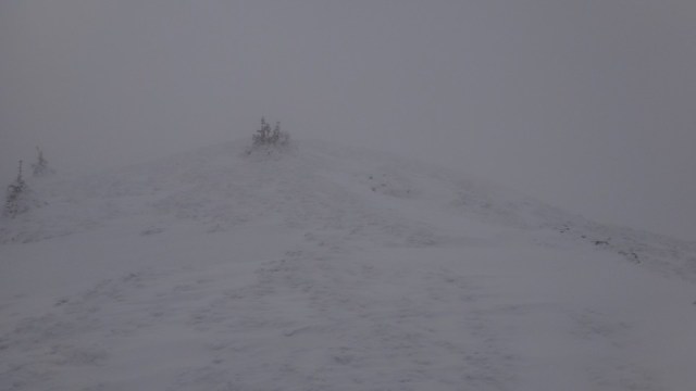 Cr Zaganu_Gropsoarele_09012016_blog_054