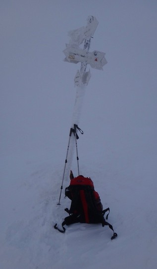 Cr Zaganu_Gropsoarele_09012016_blog_063